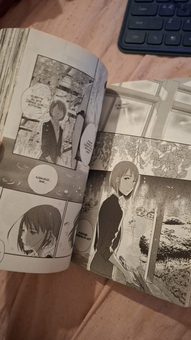 Kelimeler Bahçesi manga makoto shinkai midori motohashi - Görsel 4