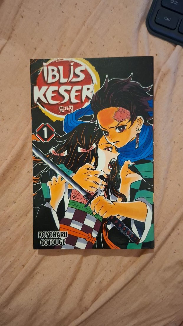 İblis Keser Demon Slayer manga serisi 1 ve 2. cilt 1. ve 2. cilt - Görsel 2