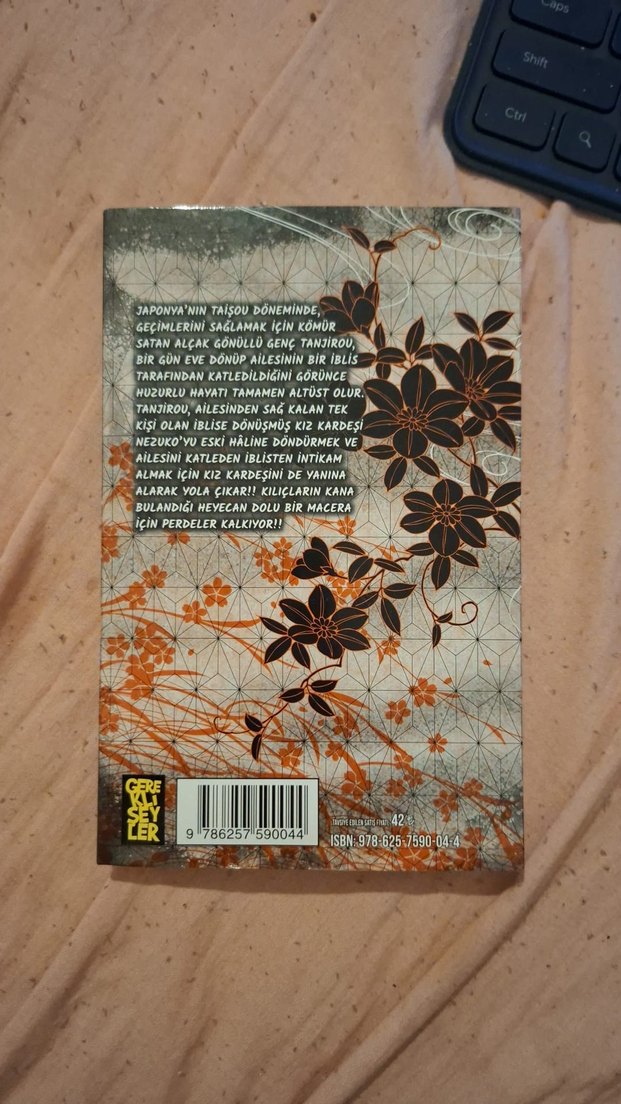 İblis Keser Demon Slayer manga serisi 1 ve 2. cilt 1. ve 2. cilt - Görsel 4