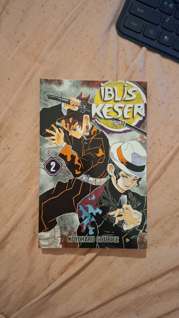 İblis Keser Demon Slayer manga serisi 1 ve 2. cilt 1. ve 2. cilt - Görsel 5