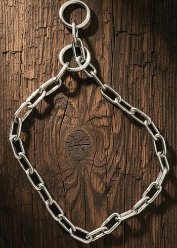 Köpek eğitim tasması - Zincir Tasma - Zincir eğitim tasması - Görsel 2