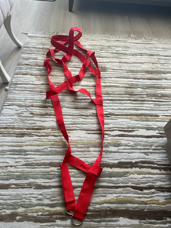 Köpek profesyonel koşum takımı - ağırlık çekme tasması - Görsel 2