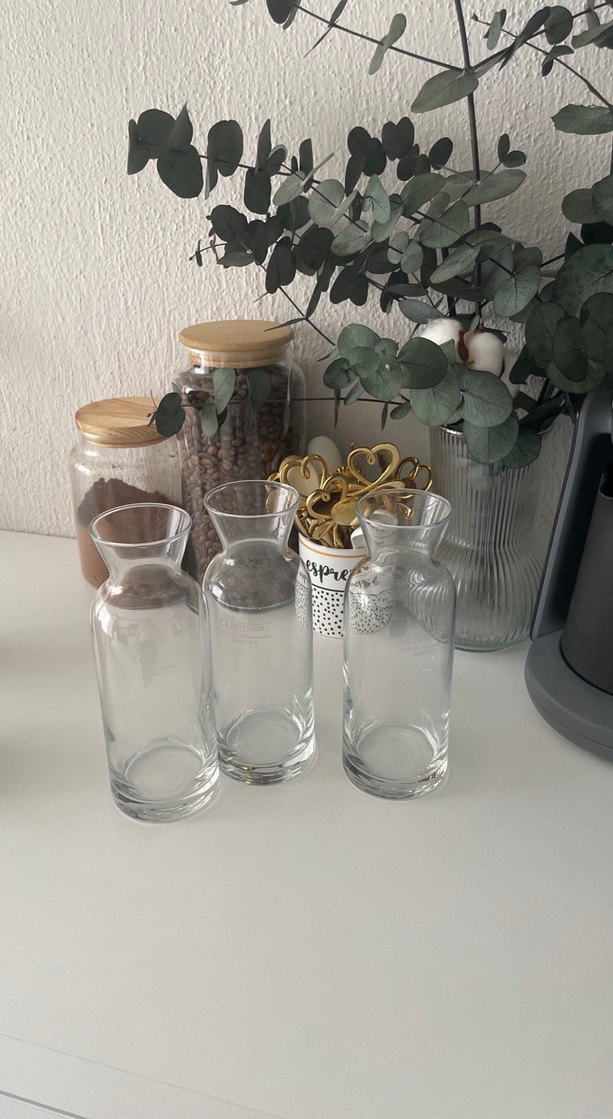 Şeffaf Cam Vazo Seti - Görsel 3