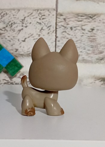  Lps köpek miniş