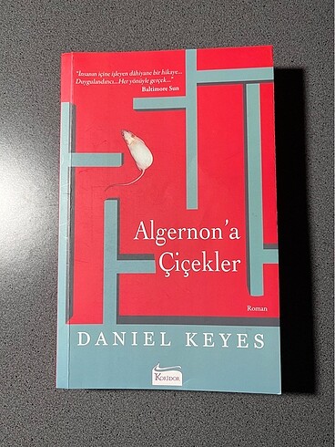 Algernon?a Çiçekler
