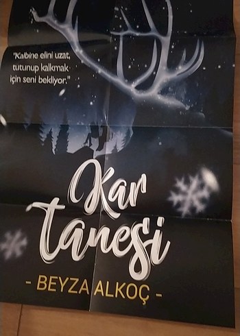 Beden Beyza Alkoc'tan İki Roman: Kış ve Kar Küresi