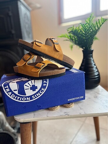 39 Beden Birkenstock Yazlık Bayan Terliği