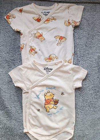 Walt Disney World 9 Ay