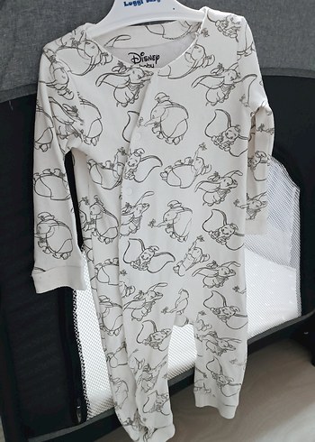 Walt Disney World 9 Ay