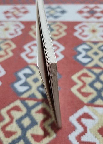 Franz Kafka - Dönüşüm Romanı - Görsel 3