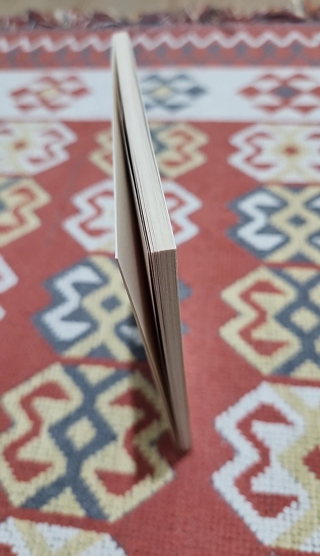 Franz Kafka - Dönüşüm Romanı - Görsel 3