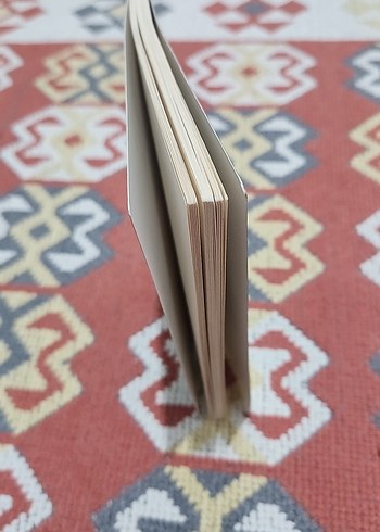 Fil Gözü - Mevsim Yenice - Görsel 3