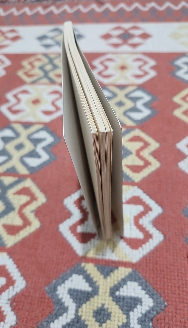 Fil Gözü - Mevsim Yenice - Görsel 3