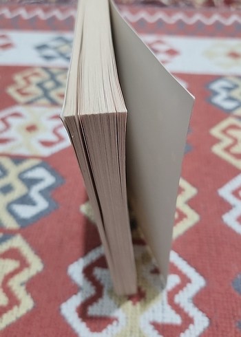 Nakkaşın Sırrı - Çiğdem Aldatmaz - Görsel 3