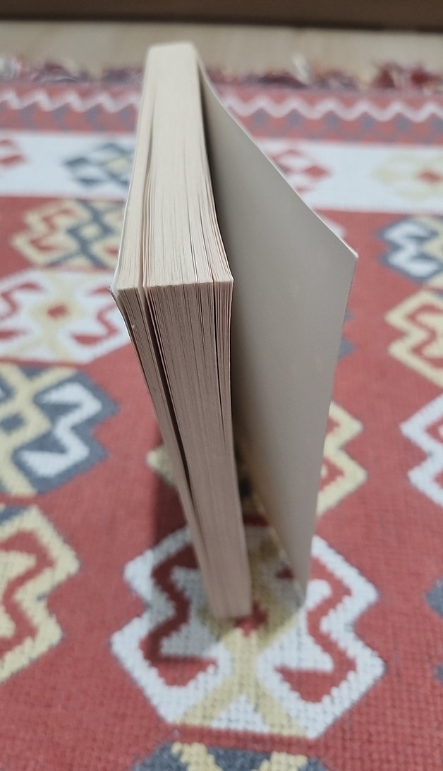 Nakkaşın Sırrı - Çiğdem Aldatmaz - Görsel 3