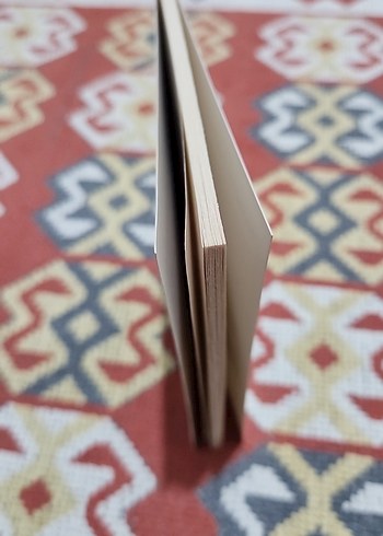 Bilinmeyen Bir Kadının Mektubu - Stefan Zweig - Görsel 3