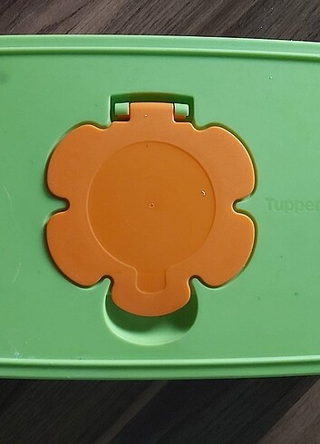  Beden Renk Tupperware ıslak mendil kutusu 