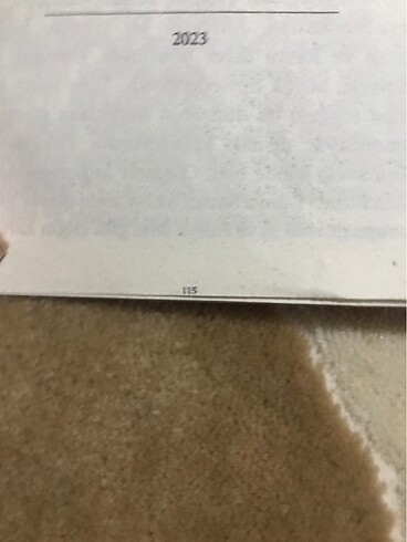  Beden Renk Cumhuriyetin ilk sabahı 115 sayfa