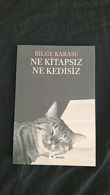 Ne kitapsız Ne kedisiz 