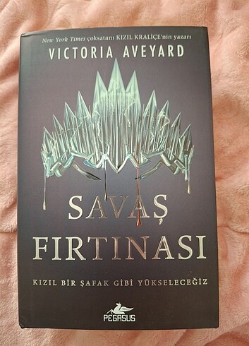SAVAŞ FIRTINASI