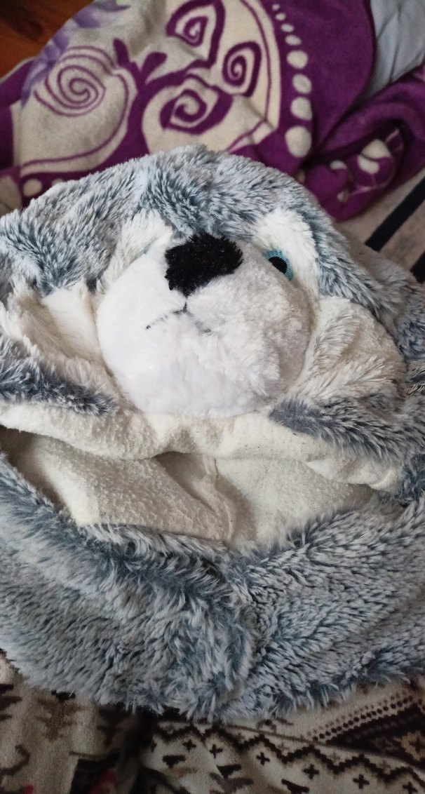 Gri Peluş Ayı  şapka - Görsel 3