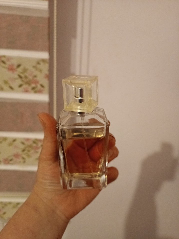 Gabrini Ansel Kadın Parfümü 50 ml - Görsel 2