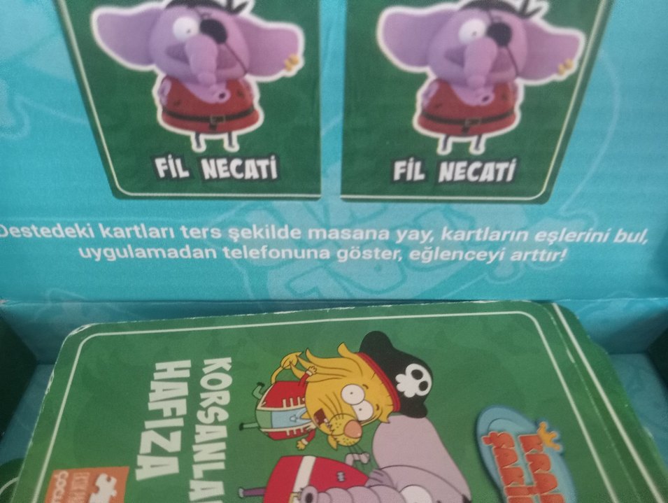 Kral Şakir Korsanlar Diyarı Hafıza Kartları - Görsel 4