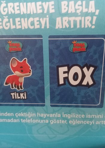 İngilizce öğretici hayvan kartlari - Görsel 5