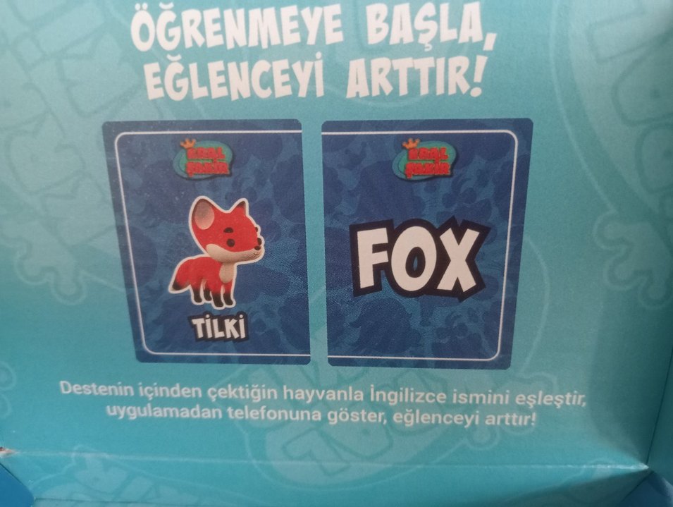 İngilizce öğretici hayvan kartlari - Görsel 5