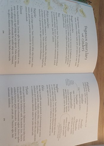 Yunan Mitolojisi Kitabı - Anna Milbourne & Louie Stowell - Görsel 5