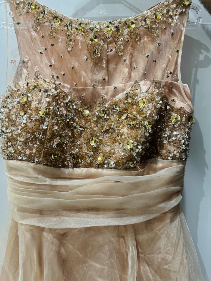 Pudra Pembe Payetli Uzun Kabarık Abiye/Nişan Elbise - Görsel 4