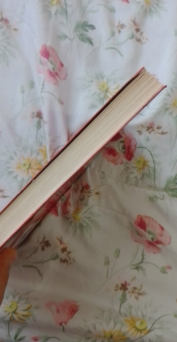 Çalcene Pelin Yaz Oyunları Çocuk Kitabı - Görsel 3