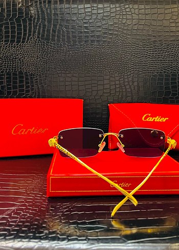 Cartier Cartier