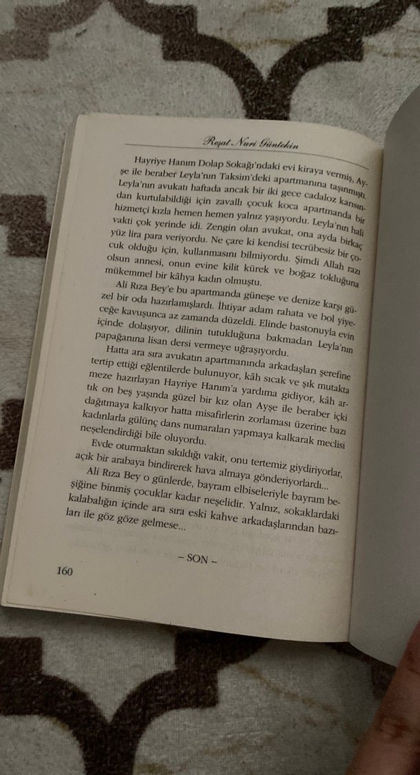 Yaprak Dökümü - Reşat Nuri Güntekin - Görsel 3