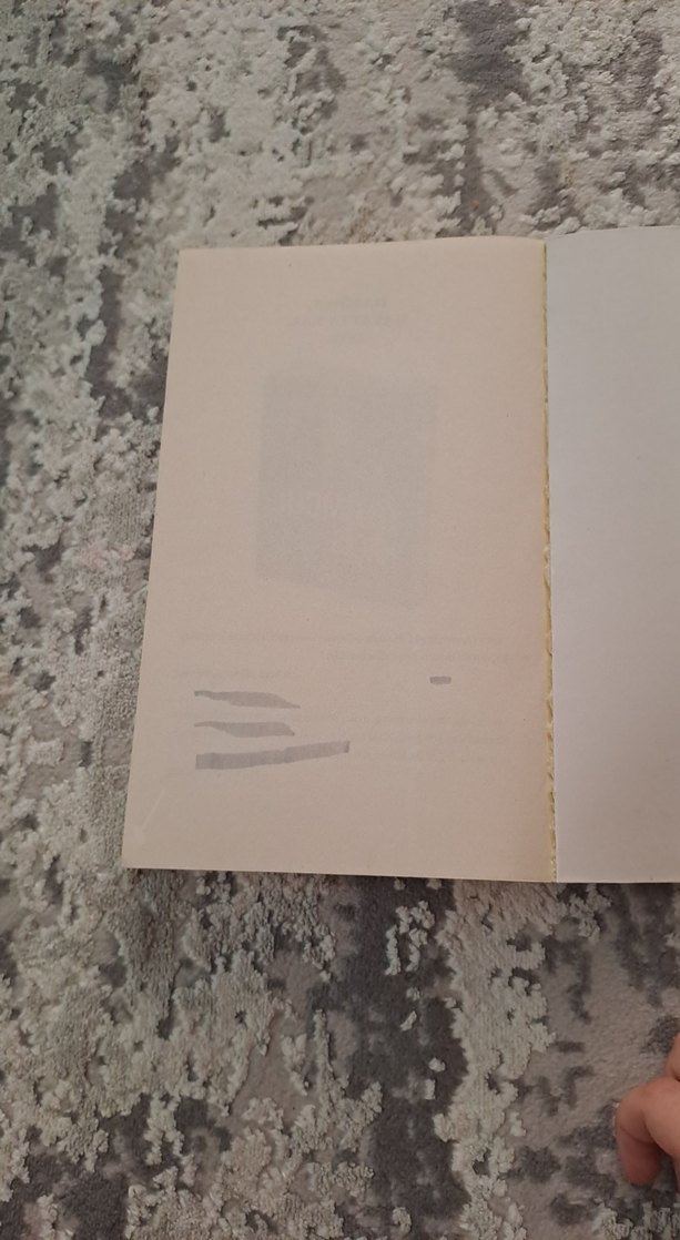 Labirent Alev Deneyleri - James Dashner - Görsel 4