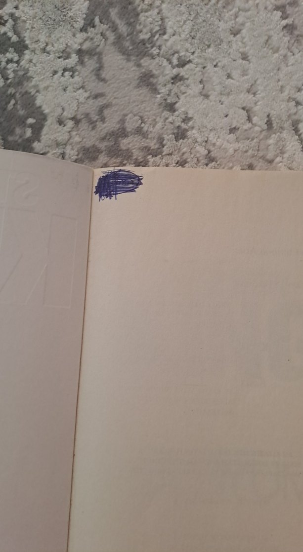 Stephen King - Medyum Romanı - Görsel 2