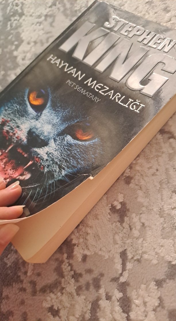Stephen King - Hayvan Mezarlığı - Görsel 2