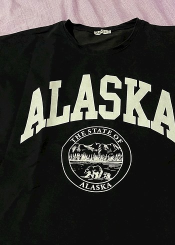 xl Beden Siyah Kapüşonlu Alaska Baskılı Sweatshirt