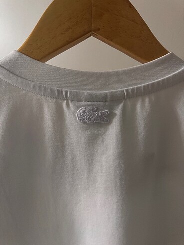 Lacoste erkek t-shırt - Görsel 3