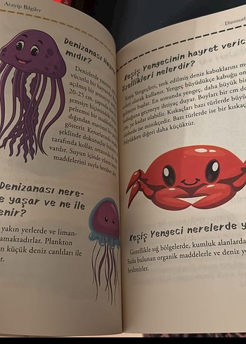 Acayip Bilgiler - Görsel 3