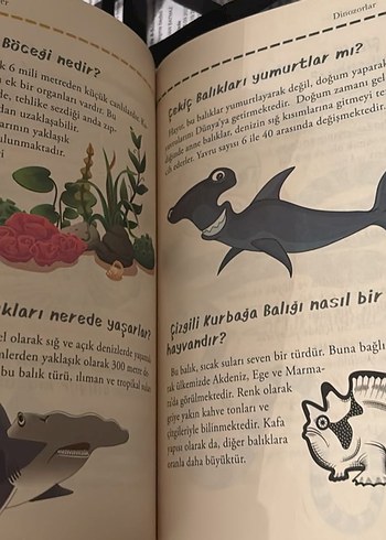 Acayip Bilgiler - Görsel 4