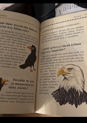 Acayip Bilgiler - Görsel 5