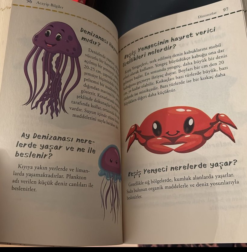 Acayip Bilgiler - Görsel 3