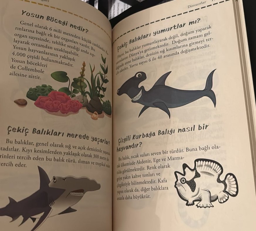 Acayip Bilgiler - Görsel 4