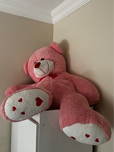 Peluş ayıcıık