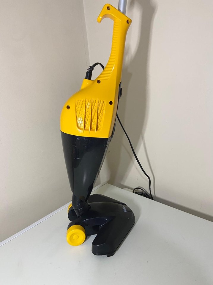 Fakir dik spürge - Görsel 3