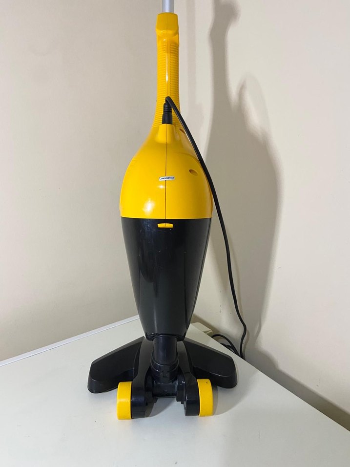 Fakir dik spürge - Görsel 5