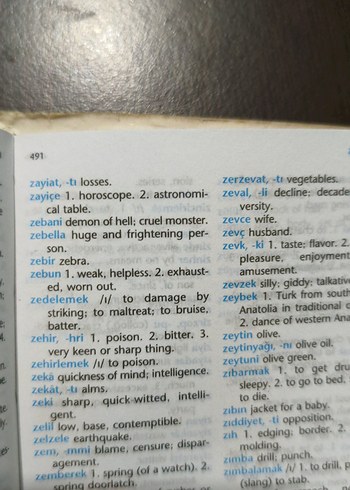 Redhouse cep sözlüğü.490 sayfa. - Görsel 2