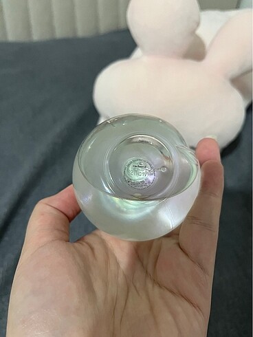 Cacharel Cacharel noa 100ml