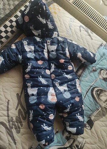 Bebek astronot 